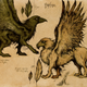 Illustration for article titled Mythological beasts, drawn in the style of old biology textbooks